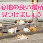 不登校・不登園の理由は様々。母は自分の居場所を選ぶべき