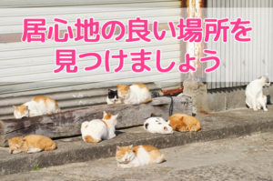 不登校・不登園の理由は様々。母は自分の居場所を選ぶべき